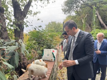 Maçka Demokrasi Parkı